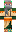 skin of a player