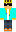 skin of a player