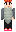 skin of a player