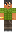 skin of a player
