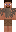 skin of a player