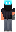 skin of a player