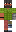 skin of a player