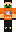 skin of a player