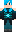 skin of a player
