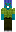 skin of a player