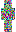 skin of a player