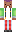 skin of a player