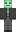 skin of a player
