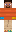 skin of a player