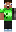 skin of a player