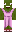 skin of a player
