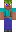 skin of a player