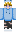 skin of a player