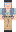skin of a player