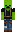 skin of a player