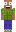 skin of a player