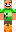 skin of a player