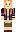 skin of a player