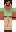 skin of a player