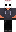skin of a player