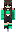 skin of a player