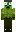 skin of a player