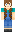 skin of a player