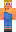 skin of a player