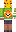 skin of a player