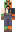 skin of a player