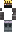 skin of a player
