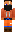 skin of a player
