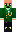 skin of a player