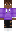 skin of a player