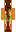 skin of a player