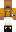 skin of a player