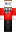 skin of a player