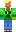 skin of a player