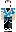 skin of a player