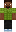 skin of a player
