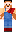 skin of a player
