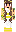 skin of a player