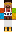 skin of a player