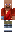skin of a player