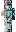 skin of a player