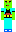 skin of a player