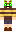 skin of a player