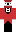 skin of a player