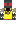 skin of a player